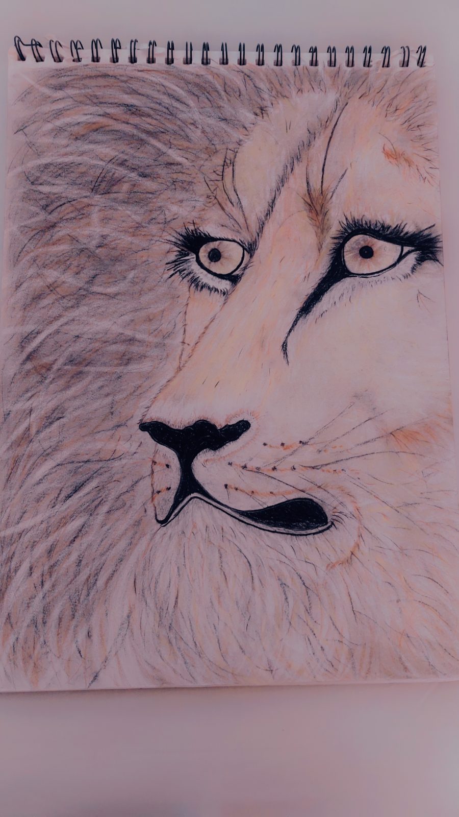 Wildlife Charcoal drawings — by Dieboskindvangod — Art & Collectibles — handmade in South Africa