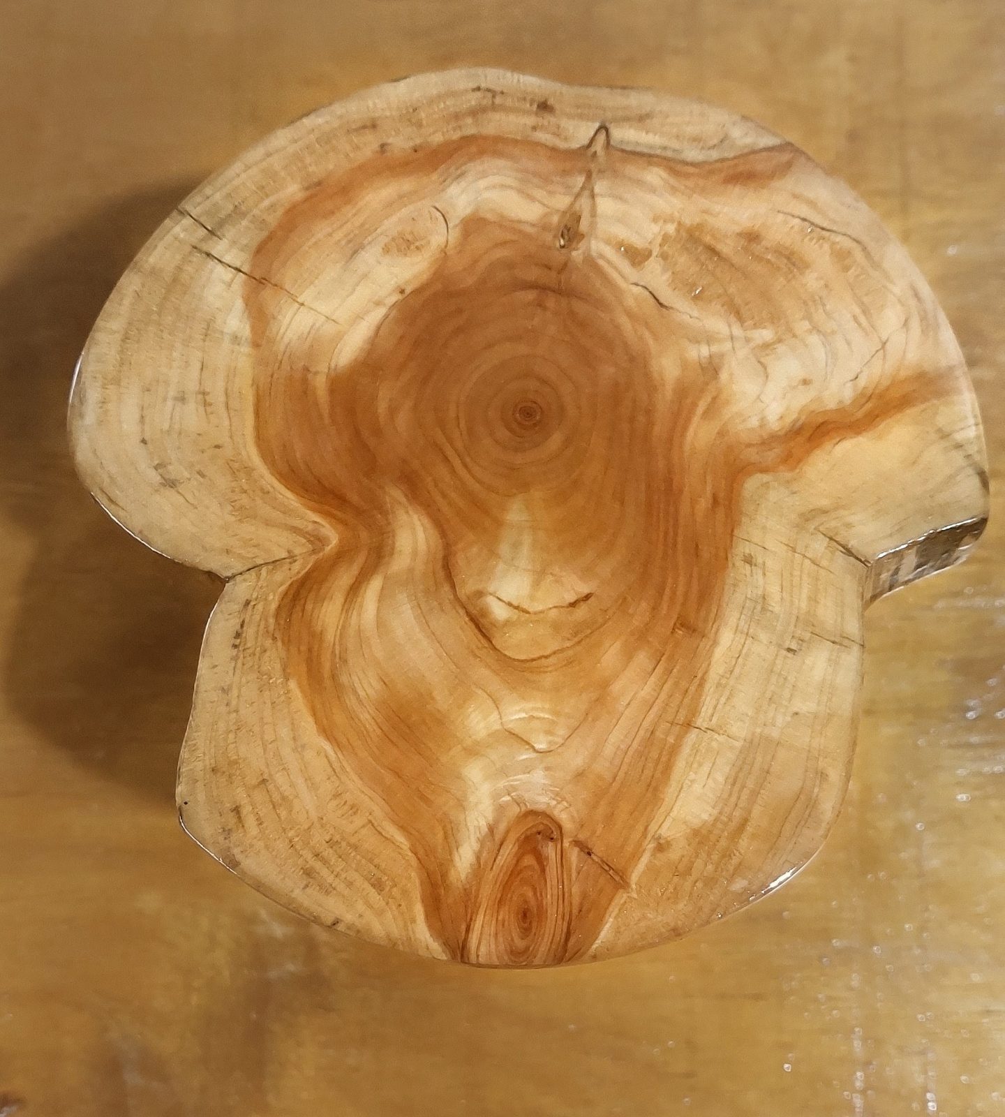 One-of-a-Kind Lathe turned Cypress Wood Mini Cake Stand / Riser (Polyurethane Fi — by Leon's Woodcraft — Home & Living — handmade in South Africa