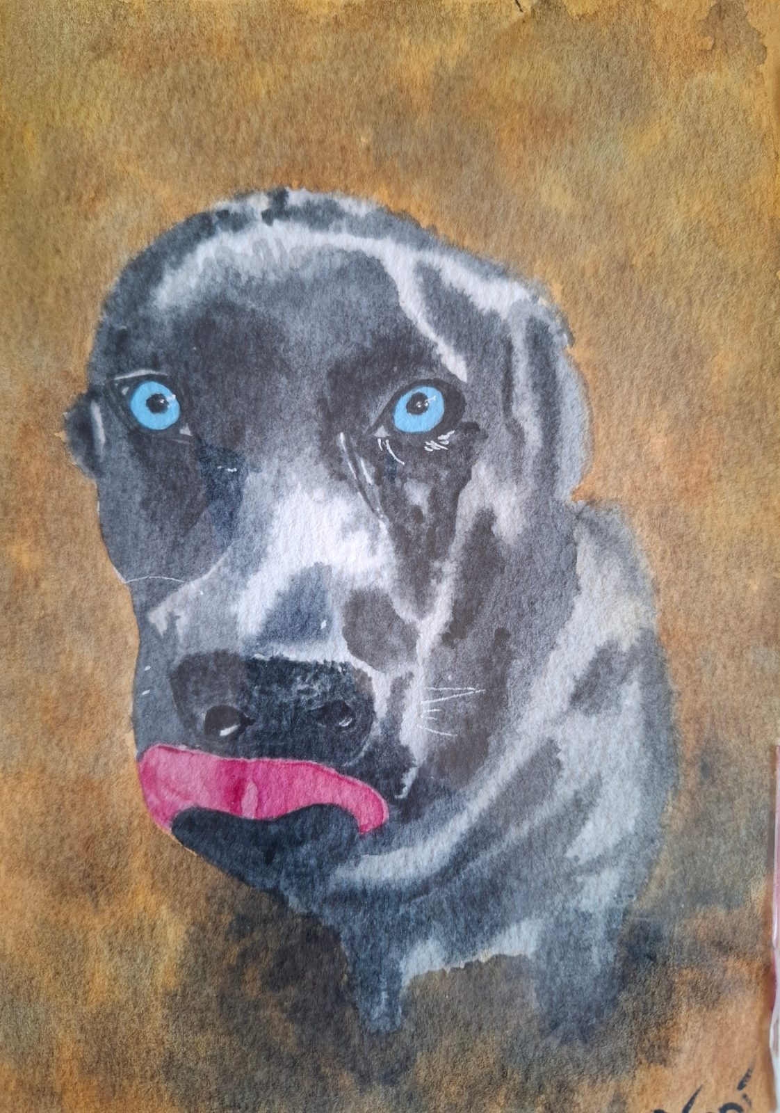 Blue-eyed dog watercolor — by Winni's Watercolours — Art & Collectibles — handmade in South Africa