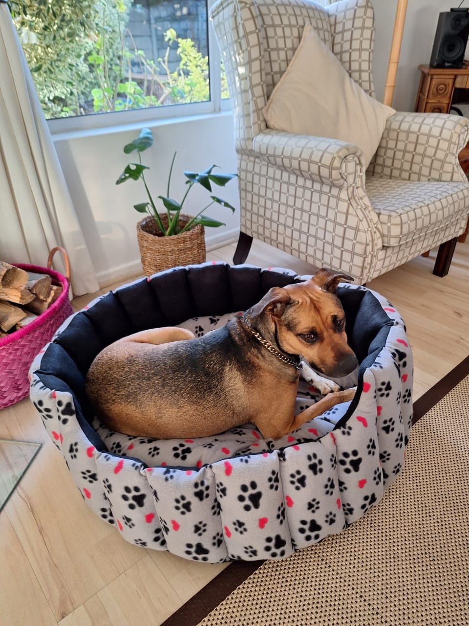 NEW Style Brown Elite Pet Beds [Leather look & Fur] — by FURBRATZ & CO — Pets — handmade in South Africa