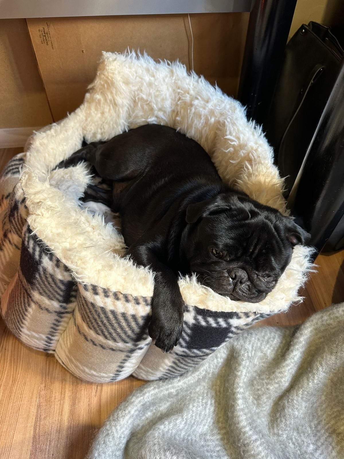 NEW Style Brown Elite Pet Beds [Leather look & Fur] — by FURBRATZ & CO — Pets — handmade in South Africa