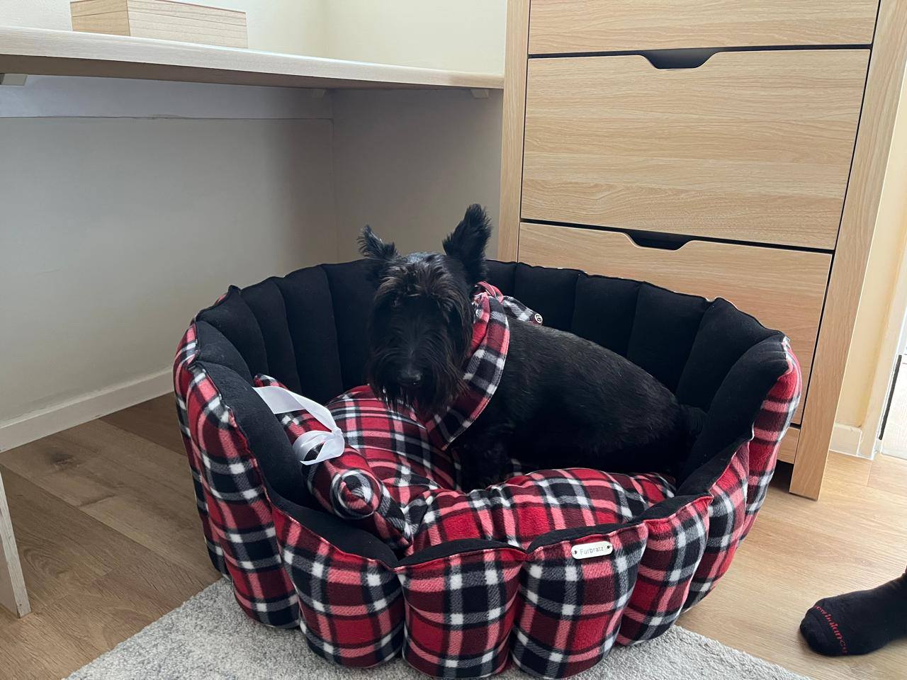 NEW Style Brown Elite Pet Beds [Leather look & Fur] — by FURBRATZ & CO — Pets — handmade in South Africa
