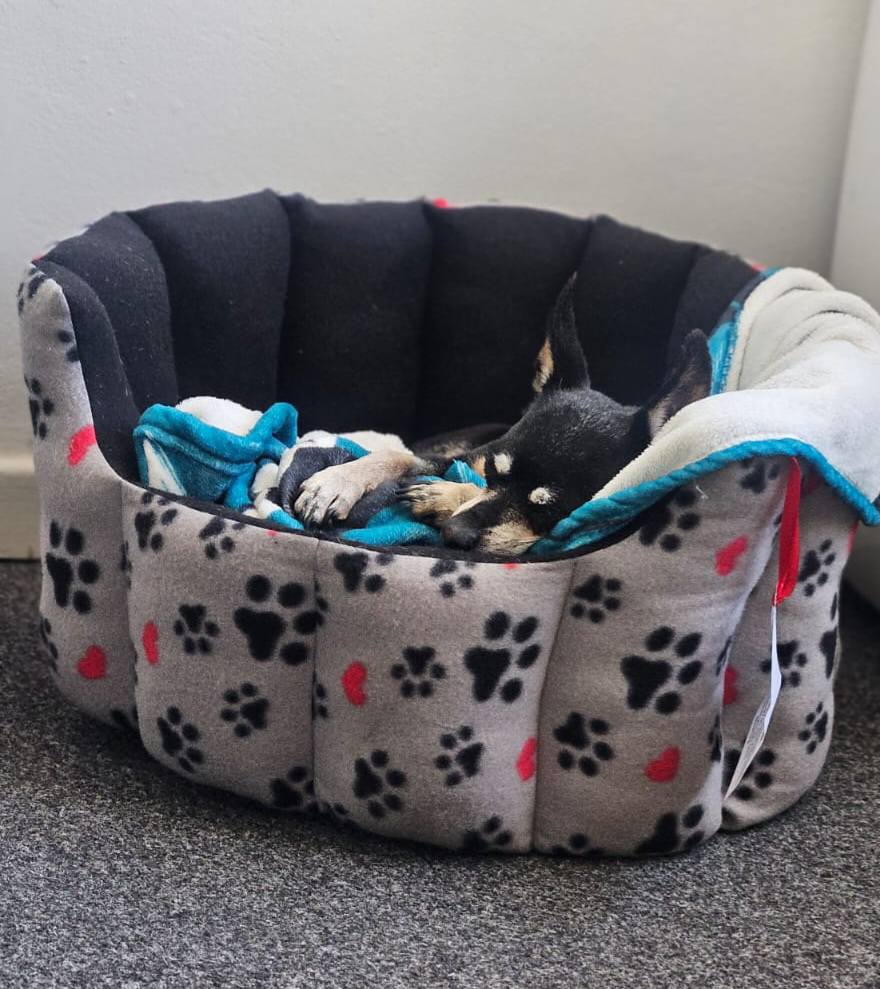 Handcraft Pet Beds Tarton Polar Fleece — by FURBRATZ & Co — Pets — handmade in South Africa