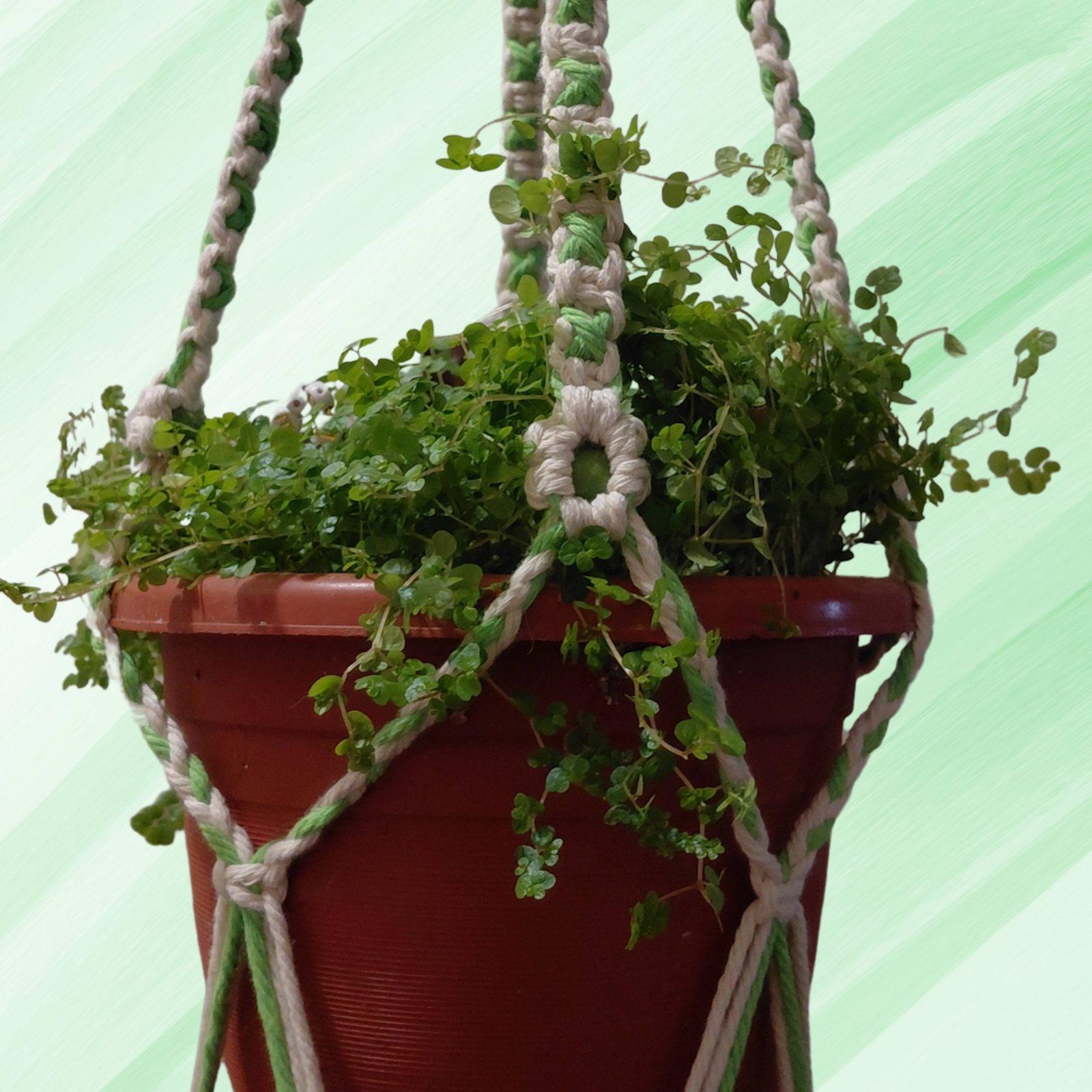 Macramé Plant Hanger – Spiral Twist & Bud Tassels — by Athena Authentic Creations — Home & Living — handmade in South Africa